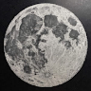 Meet your Posher, Isabel